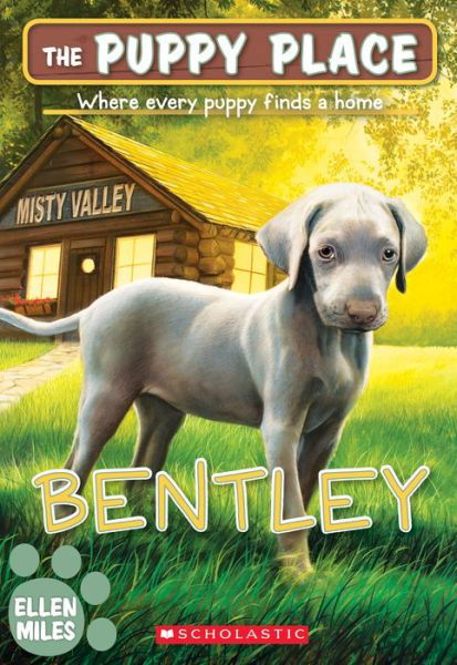 Bentley (The Puppy Place #53) - The Puppy Place - Ellen Miles - Kirjat - Scholastic Inc. - 9781338303025 - tiistai 30. huhtikuuta 2019