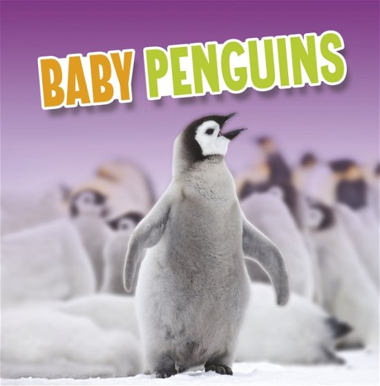 Cover for Martha E. H. Rustad · Baby Penguins - Baby Animals (Paperback Book) (2023)