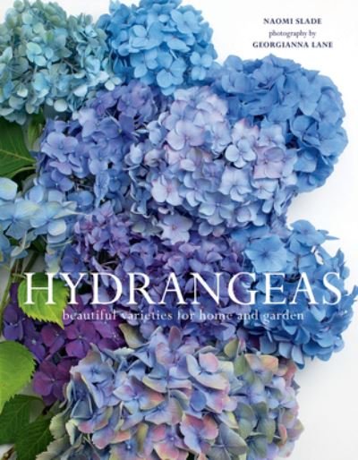 Cover for Naomi Slade · Hydrangeas Beautiful Varieties for Home and Garden (Buch) (2020)