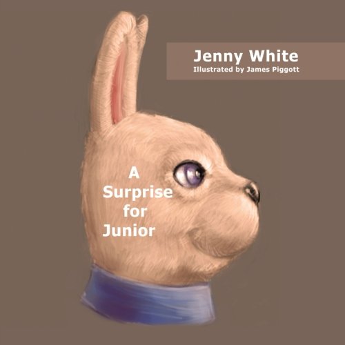 Cover for Jenny White · A Surprise for Junior (Paperback Book) (2013)