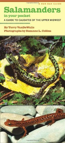 Salamanders in Your Pocket: A Guide to Caudates of the Upper Midwest - A Bur Oak Guide - Terry VanDeWalle - Books - University of Iowa Press - 9781609382025 - November 30, 2013