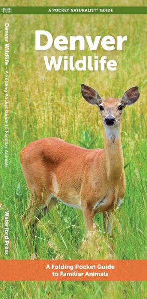 Cover for Waterford Press · Denver Wildlife: A Folding Pocket Guide to Familiar Animals - Pocket Naturalist Guide (Pamphlet) (2024)