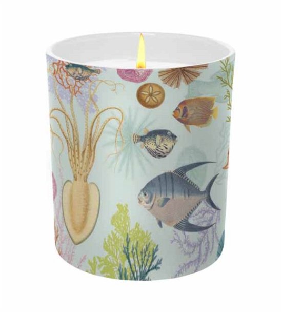 Cover for Insight Editions · Art of Nature: Under the Sea Scented Glass Candle - Luminaries Gift (Print) (2022)