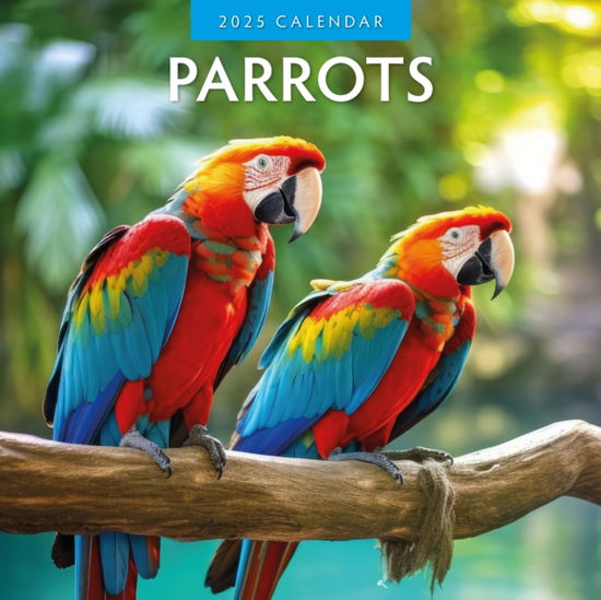 Cover for Red Robin · Parrots 2025 Square Wall Calendar (Paperback Book) (2024)