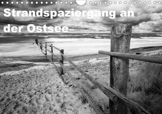 Cover for Krebs · Strandspaziergang an der Ostsee ( (Book)