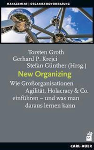 Cover for Torsten Groth · New Organizing (Hardcover Book) (2021)