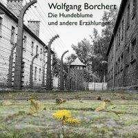 Cover for Borchert · Die Hundeblume,CD (Book)