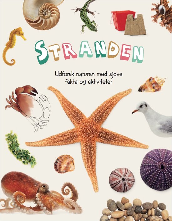 Cover for Udforsk naturen med sjove fakta og aktiviteter: Stranden (Bound Book) [1e uitgave] (2018)
