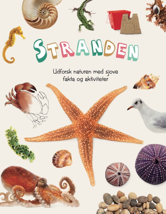 Cover for Udforsk naturen med sjove fakta og aktiviteter: Stranden (Indbundet Bog) [1. udgave] (2018)