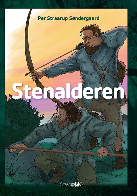 Cover for Per Straarup Søndergaard · Maxi: Stenalderen (Gebundenes Buch) [1. Ausgabe] (2017)