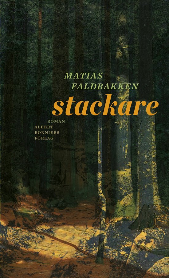 Stackare - Matias Faldbakken - Bøker - Albert Bonniers förlag - 9789100803025 - 30. april 2024