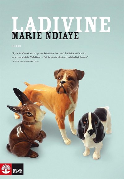 Cover for Marie NDiaye · Ladivine (ePUB) (2014)