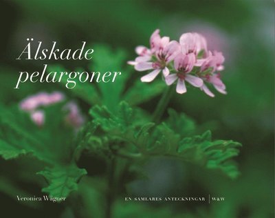 Älskade pelargoner : en samlares anteckningar (mjb.) - Wägner Veronica - Bøger - Wahlström & Widstrand - 9789146216025 - 