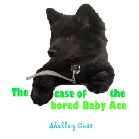 Cover for Shelley Cass · The Case of the Bored Baby Ace (Paperback Book) (2020)