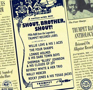 Shout, Brother, Shout! - Various Artists - Musik - ALLIGATOR - 0014551280026 - 31. juli 1990