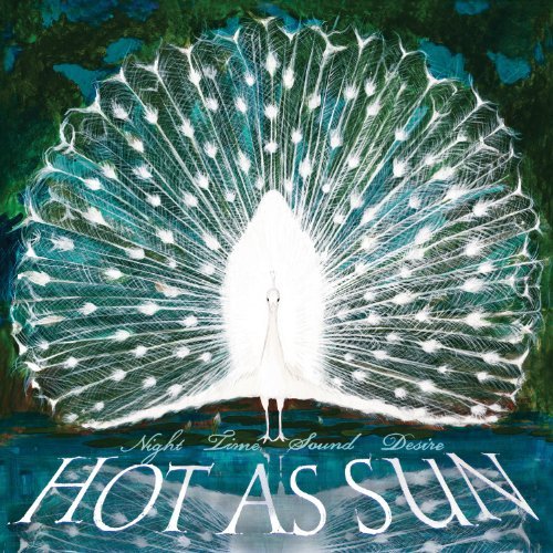 Cover for Hot As Sun · Night Time Sound Desire (CD) (2013)