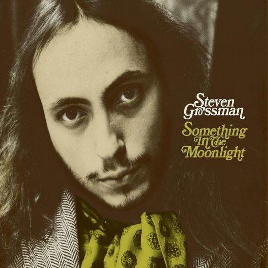 Cover for Steven Grossman · Something in the Moonlight (CD) (2011)