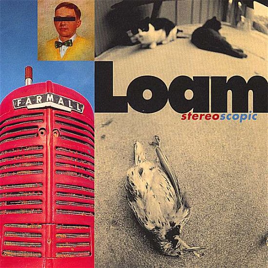 Stereoscopic - Loam - Music - Stunt Records - 0605207101026 - February 27, 2007