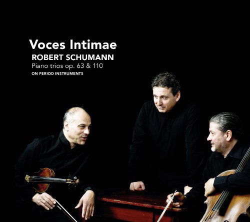 Piano Trios Op.38 & 110 - Voces Intimae - Muziek - CHALLENGE - 0608917252026 - 12 oktober 2011