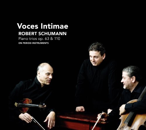 Cover for Voces Intimae · Piano Trios Op.38 &amp; 110 (CD) (2011)