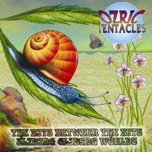 Cover for Ozric Tentacles · Bits Between.. / Sliding Gl (CD) (2000)
