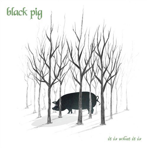 Cover for Black Pig · It is What It is (CD) (2006)