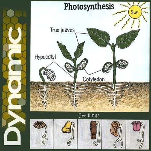 Cover for Dynamic (CD) (2006)