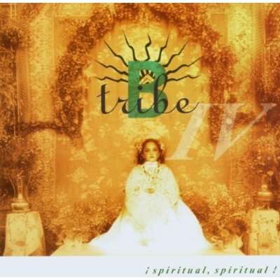 Cover for B-Tribe · Spiritual, Spiritual (CD) (2001)