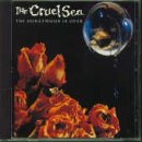 Cover for Cruel Sea · Honeymoon is over (CD) (2021)