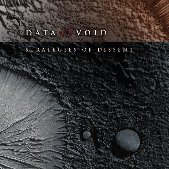 Cover for Data Void · Strategies Of Dissent (CD) (2024)