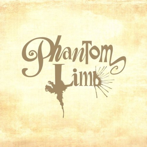Cover for Phantom Limb · Don't Say A Word (CD) [Special edition] [Digipak] (2010)