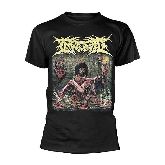 Cover for Ingested · Cesspool (MERCH) [size L] (2023)
