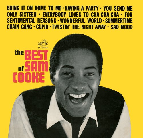 Best Of - Sam Cooke - Musik - RCA RECORDS LABEL - 0828766955026 - 12. Juli 2005