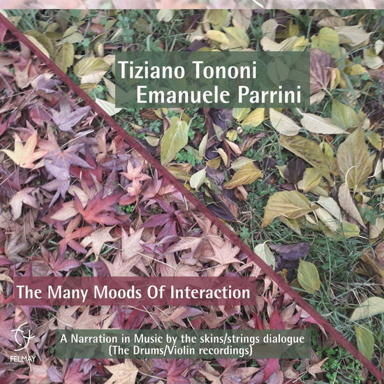 Cover for Tononi, Tiziano &amp; Emanuele Parrini · Many Moods Of Interaction (CD) (2022)