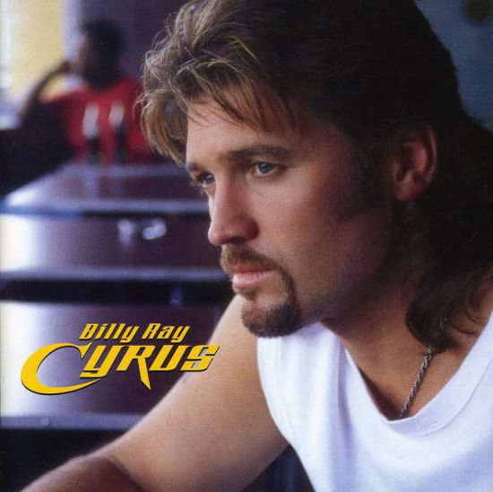 Southern Rain [Us Import] - Billy Ray Cyrus - Music - SBMK - 0886973609026 - November 25, 2008