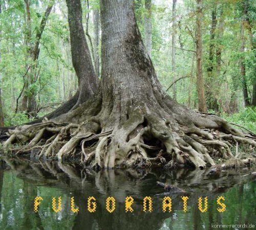 Fulgornatus - Fulgornatus - Música - KONNEX - 4017867032026 - 5 de julio de 2011