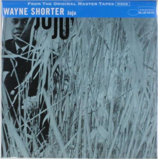 Cover for Wayne Shorter · Juju (LP) (2013)