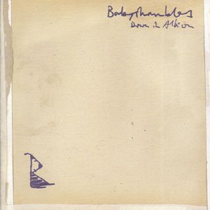 Cover for Babyshambles · Down In Albion (CD) [International edition] (2005)