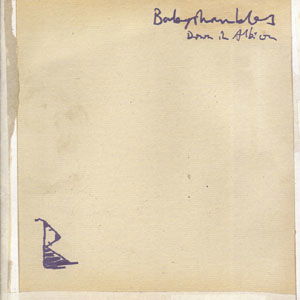 Cover for Babyshambles · Down in Albion (CD) [International edition] (2005)