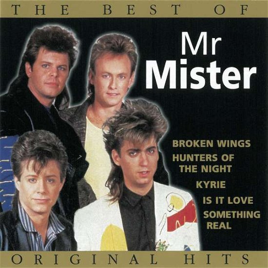 Cover for Mr. Mister · Best of Mr. Mister, the (CD) (2003)