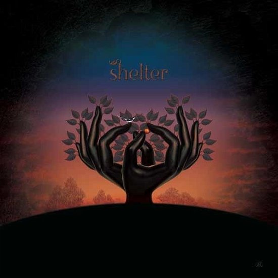 Cover for Laughing Stock · Shelter (LP) (2024)