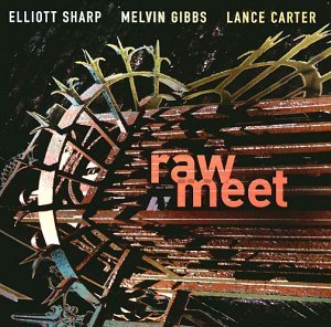 Raw Meet - Sharp / Gibbs / Carter - Musikk - INTAKT - 7619942509026 - 1. august 2010