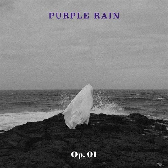 Op. 01 - Purple Rain - Musik - JTBC - 8809440340026 - 17. Juli 2020