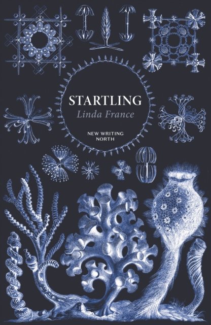 Cover for Linda France · Startling (Paperback Book) [Main - New Writing North edition] (2022)