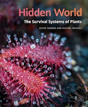Cover for Kevin Tarner · Hidden World: The Survival Systems of Plants (Paperback Book) (2025)