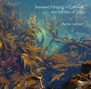 Seaweed Foraging in Cornwall and the Isles of Scilly - Pocket Cornwall -  - Książki - Alison Hodge - 9780850252026 - 24 lipca 2023