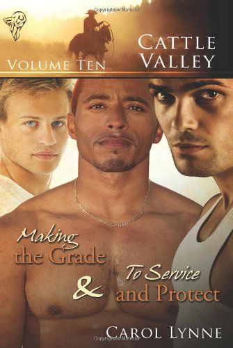 Cattle Valley Vol 10 - Carol Lynne - Books - Total-E-Bound Publishing - 9780857154026 - December 20, 2010