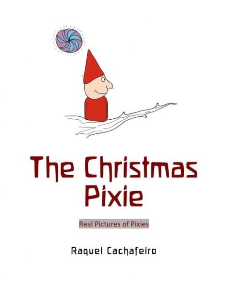 Cover for Raquel Cachafeiro Gil · The Christmas Pixie (Paperback Book) (2013)