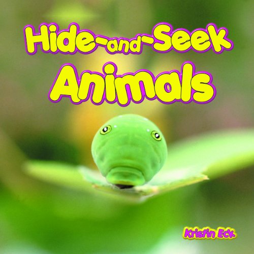 Hide-and-seek Animals (Hide-and-seek Books) - Kristin Eck - Books - Powerkids Pr - 9781404227026 - August 1, 2004