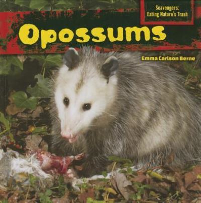 Cover for Emma Carlson Berne · Opossums (Book) [First edition. edition] (2014)